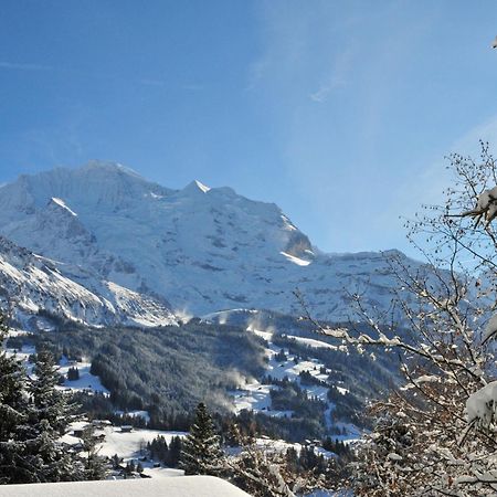 Apartment Primula By Interhome Wengen Zewnętrze zdjęcie