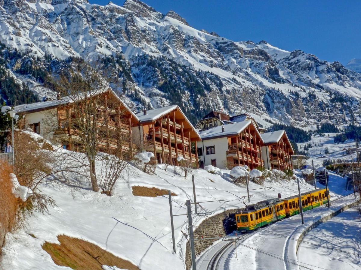 Apartment Primula By Interhome Wengen Zewnętrze zdjęcie