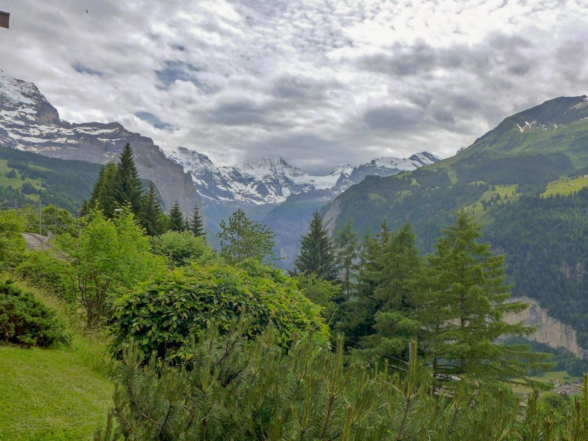 Apartment Primula By Interhome Wengen Zewnętrze zdjęcie