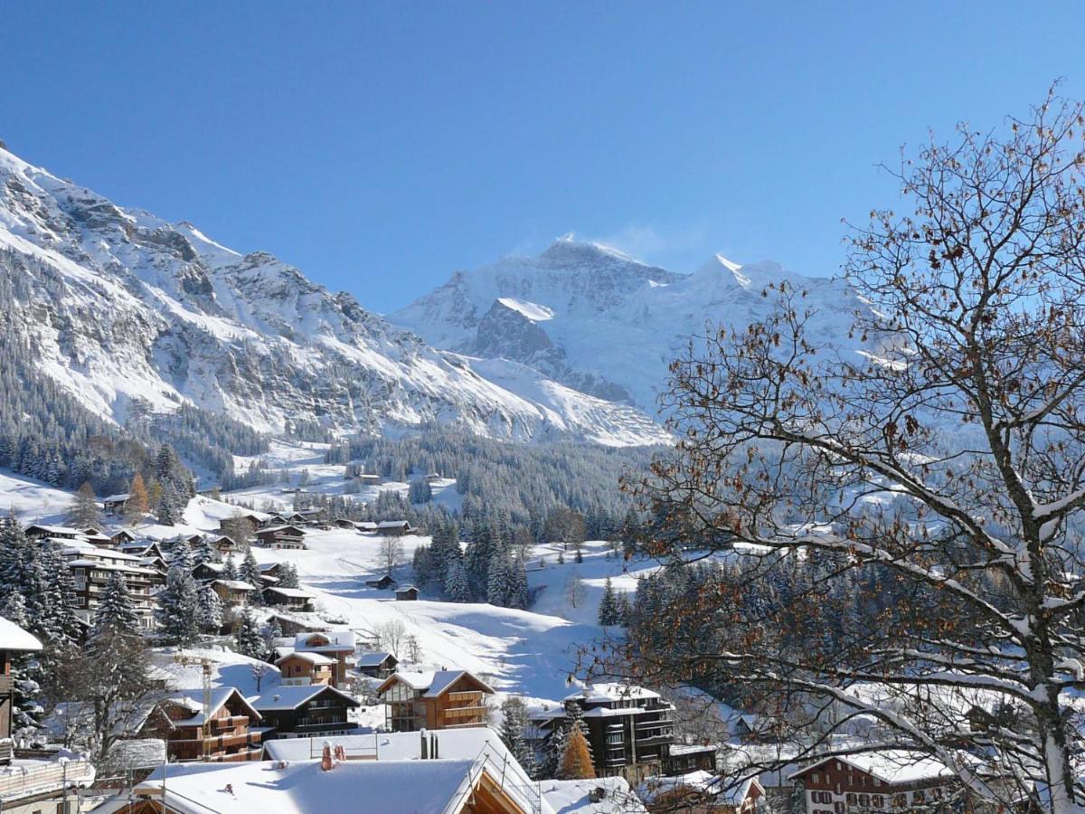 Apartment Primula By Interhome Wengen Zewnętrze zdjęcie