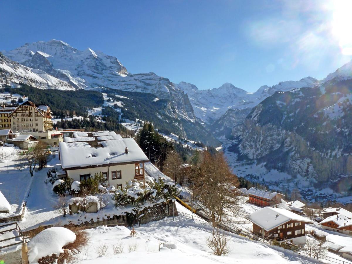 Apartment Primula By Interhome Wengen Zewnętrze zdjęcie