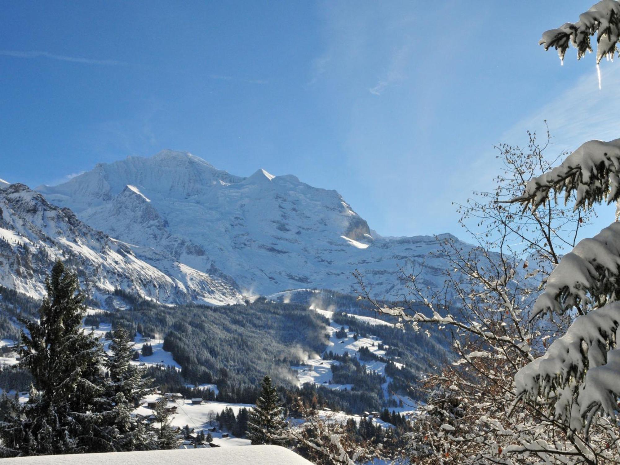 Apartment Primula By Interhome Wengen Zewnętrze zdjęcie